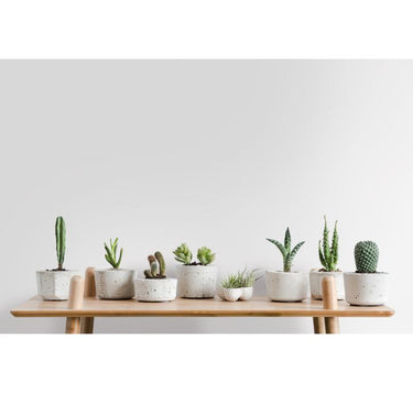 Porcelain matte interieurfolie sfeerbeeld modern interieur