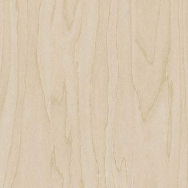 Gold Pale Birch houtlook interieurfolie kleurstaal